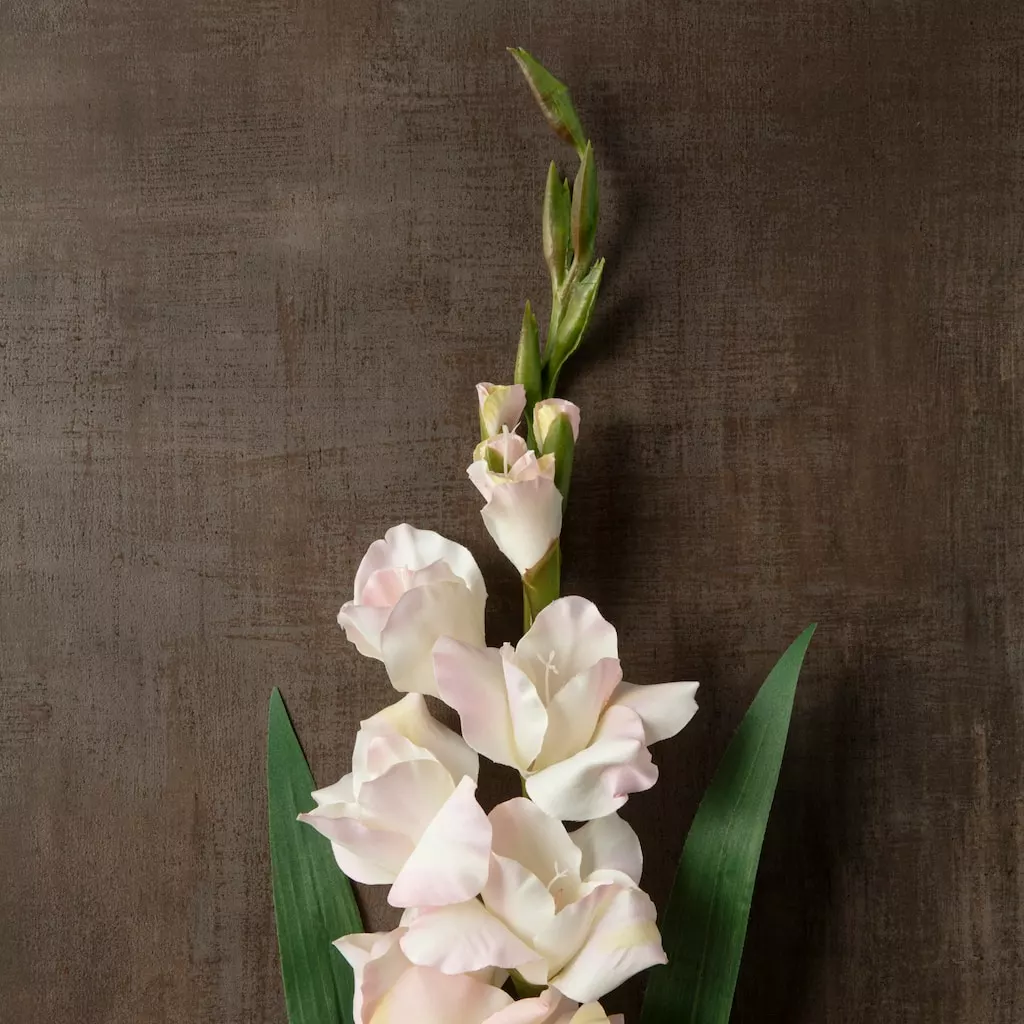 Cheap 🤩 12 Pack: White Gladiolus Stem by Ashland® 😉 6 Cheap 🤩 12 Pack: White Gladiolus Stem by Ashland® 😉 - Image 4