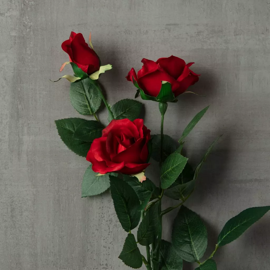 Best Pirce 🥰 12 Pack: Dark Red Sweetheart Rose Spray by Ashland® 💯 5 Best Pirce 🥰 12 Pack: Dark Red Sweetheart Rose Spray by Ashland® 💯 - Image 3