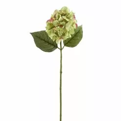 Promo 👍 12 Pack: Green Hydrangea Stem by Ashland® ❤️
