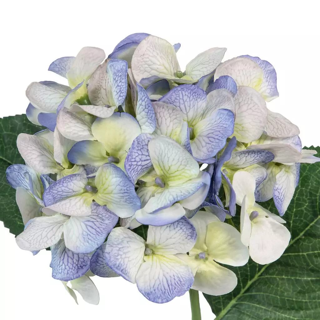 Budget ๐ 12 Pack: Indigo & Green Hydrangea Stem by Ashland® ๐งจ 4 Budget ๐ 12 Pack: Indigo & Green Hydrangea Stem by Ashland® ๐งจ - Image 2