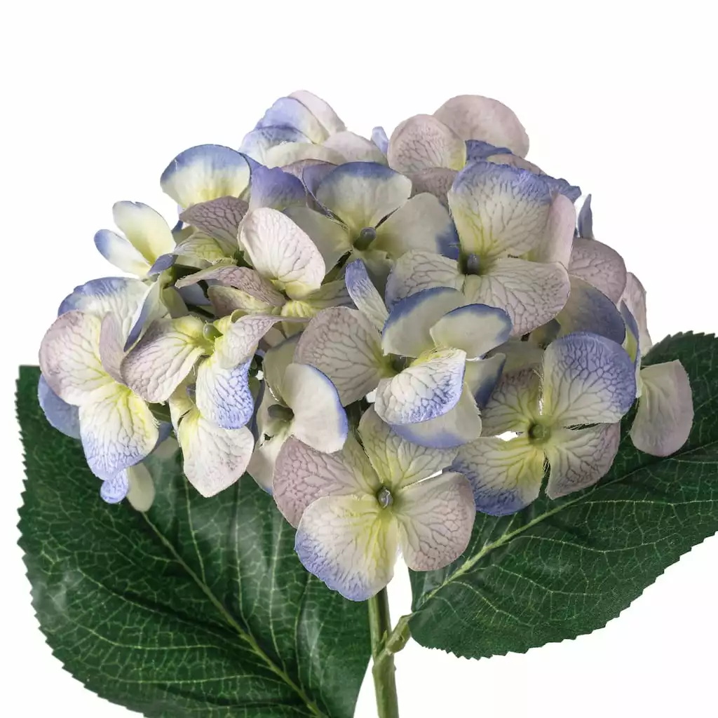 Budget ๐ 12 Pack: Indigo & Green Hydrangea Stem by Ashland® ๐งจ 6 Budget ๐ 12 Pack: Indigo & Green Hydrangea Stem by Ashland® ๐งจ - Image 4