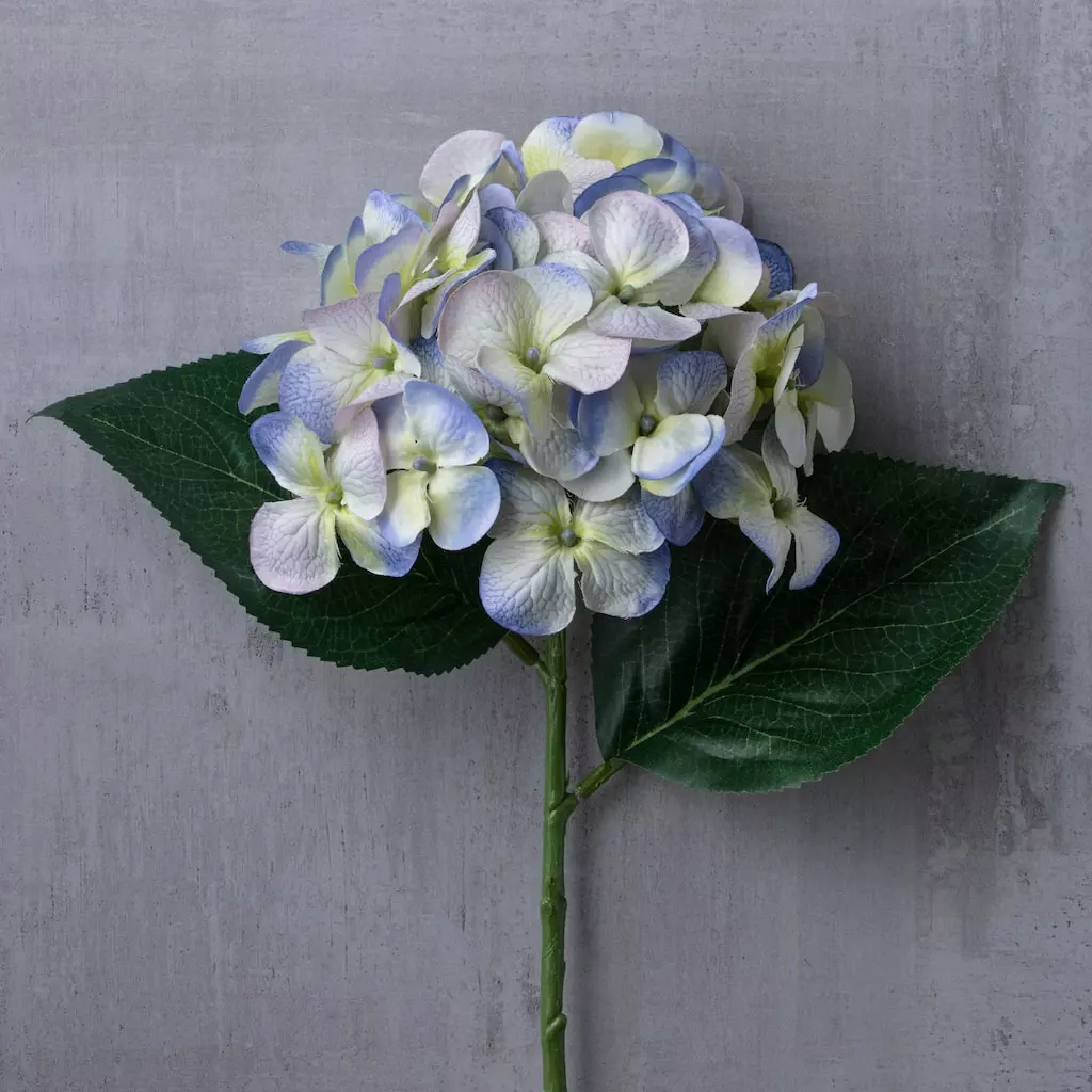 Budget ๐ 12 Pack: Indigo & Green Hydrangea Stem by Ashland® ๐งจ 5 Budget ๐ 12 Pack: Indigo & Green Hydrangea Stem by Ashland® ๐งจ - Image 3