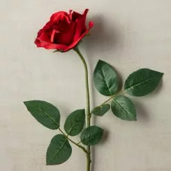 Best reviews of ✔️ 12 Pack: Dark Red Princess Rose by Ashland® ⭐ -Ashland Sale Store MP297101 25