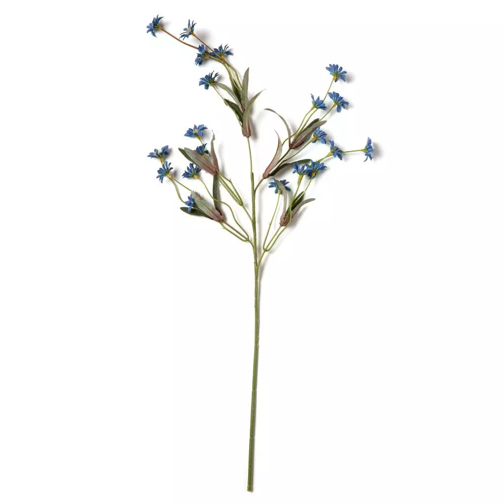 Budget ✔️ 24 Pack: Wild Daisy Spray by Ashland® ⌛ 5 Budget ✔️ 24 Pack: Wild Daisy Spray by Ashland® ⌛ - Image 3