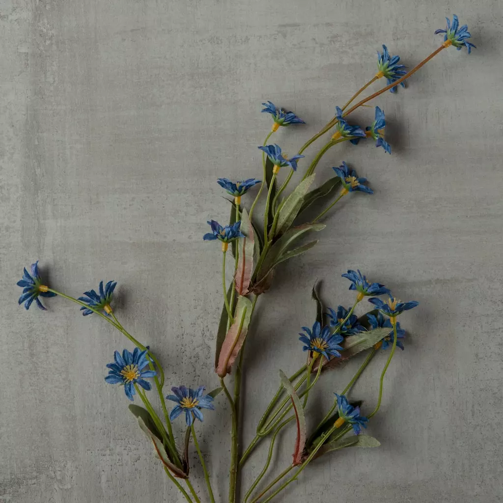 Budget ✔️ 24 Pack: Wild Daisy Spray by Ashland® ⌛ 6 Budget ✔️ 24 Pack: Wild Daisy Spray by Ashland® ⌛ - Image 4