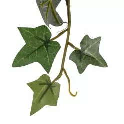 Outlet 😀 12 Pack: Assorted Mini English Ivy Bush by Ashland® 🧨 -Ashland Sale Store MP308569 20