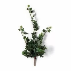 Outlet 😀 12 Pack: Assorted Mini English Ivy Bush by Ashland® 🧨 -Ashland Sale Store MP308569 21