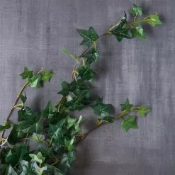 Outlet 😀 12 Pack: Assorted Mini English Ivy Bush by Ashland® 🧨 -Ashland Sale Store MP308569 22