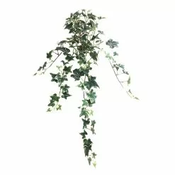 Outlet 😀 12 Pack: Assorted Mini English Ivy Bush by Ashland® 🧨 -Ashland Sale Store MP308569 4