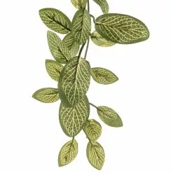 Buy 🎉 8 Pack: Fittonia Hanging Bush by Ashland® 🎉 -Ashland Sale Store MP308882 20