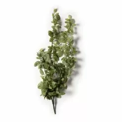 Buy 🎉 8 Pack: Fittonia Hanging Bush by Ashland® 🎉 -Ashland Sale Store MP308882 21