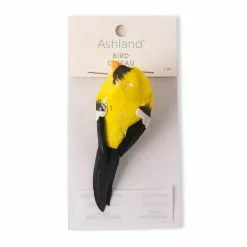 Top 10 ⭐ 24 Pack: Finch Bird by Ashland® ⌛ -Ashland Sale Store MP309954 20