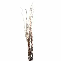 New ⭐ 12 Pack: Natural Curly Willow by Ashland® ⭐