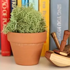 Cheap ❤️ 180 Pack: 2" Clay Pot by Ashland® 👏 -Ashland Sale Store MP322396 2