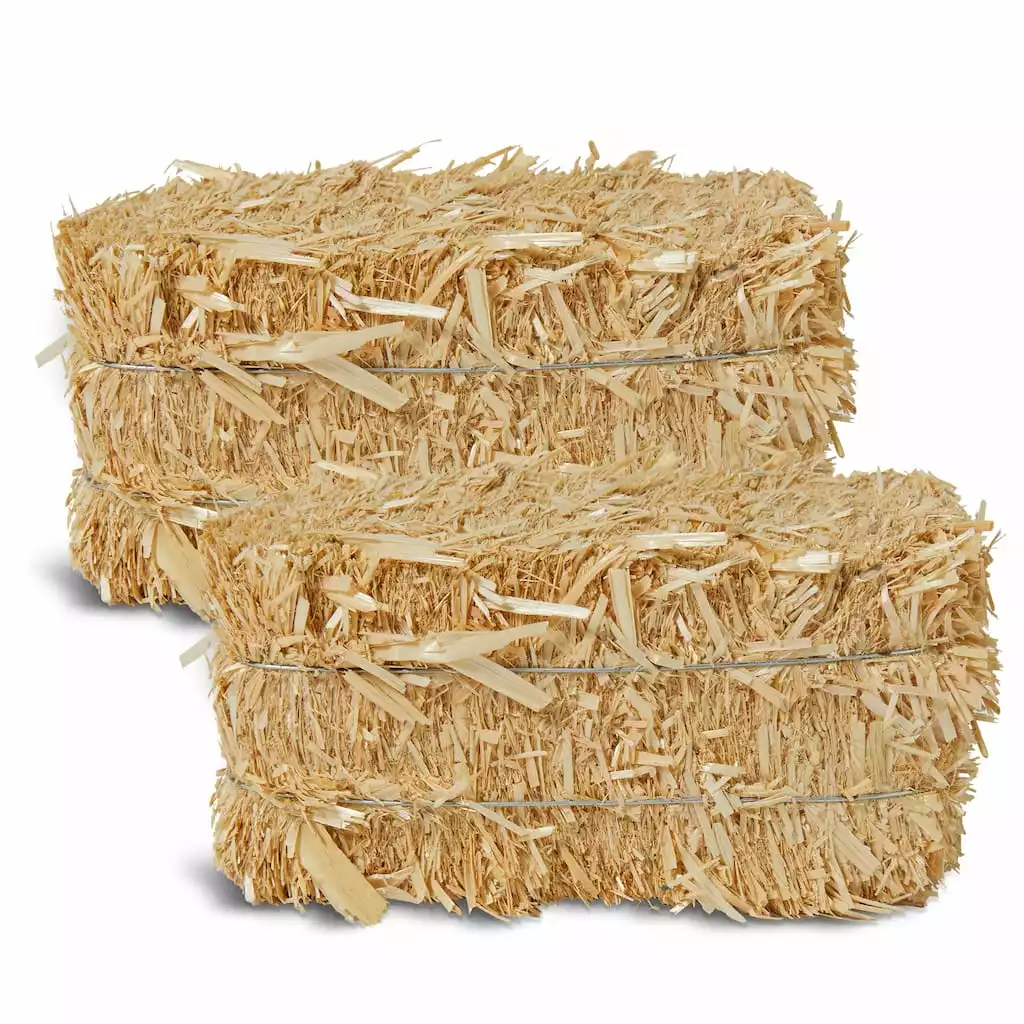 Best deal 🌟 12 Pack: 2" Straw Bale by Ashland® 💯 3 Best deal 🌟 12 Pack: 2" Straw Bale by Ashland® 💯