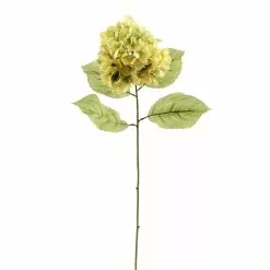 Budget ❤️ 12 Pack: Green Hydrangea Stem by Ashland® 😉