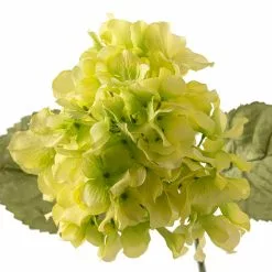 Budget ❤️ 12 Pack: Green Hydrangea Stem by Ashland® 😉 -Ashland Sale Store MP328156 20