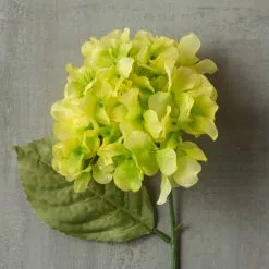 Budget ❤️ 12 Pack: Green Hydrangea Stem by Ashland® 😉 -Ashland Sale Store MP328156 25