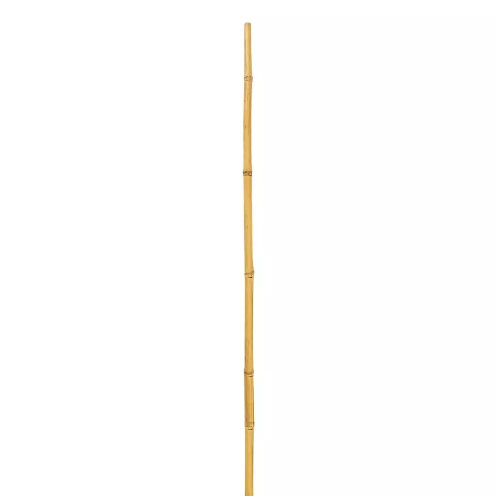 Flash Sale 🌟 18 Pack: Natural Bamboo Stem by Ashland® 🤩 3 Flash Sale 🌟 18 Pack: Natural Bamboo Stem by Ashland® 🤩