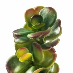 Cheap ⌛ 18 Pack: Green & Orange Succulent Pick by Ashland® ✨ -Ashland Sale Store MP337814 20
