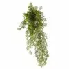 Hot Sale 🤩 12 Pack: Green Springeri Fern Bush by Ashland® 💯 -Ashland Sale Store MP339547 1