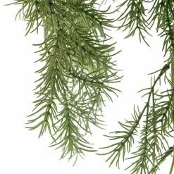 Hot Sale 🤩 12 Pack: Green Springeri Fern Bush by Ashland® 💯 -Ashland Sale Store MP339547 20