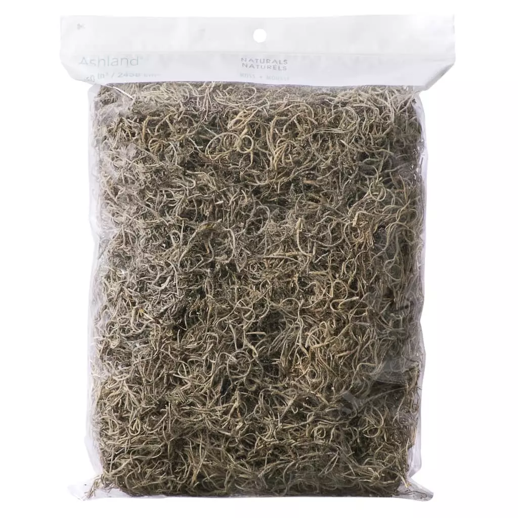 Top 10 ๐ 24 Pack: Spanish Moss by Ashland® ๐งจ 3 Top 10 ๐ 24 Pack: Spanish Moss by Ashland® ๐งจ