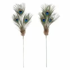 Deals ⭐ 12 Pack: Peacock Feather Picks by Ashland® 👍