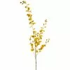 Buy 😀 12 Pack: Yellow Dancing Orchid by Ashland® 🎉 -Ashland Sale Store MP381029 1