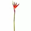 Cheap 🎉 12 Pack: Tropical Bird of Paradise Stem by Ashland® 😉 -Ashland Sale Store MP390624