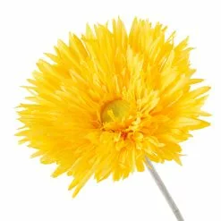 Deals 🔔 12 Pack: Yellow Spider Gerber Daisy Stem by Ashland® 👏 -Ashland Sale Store MP392672 20