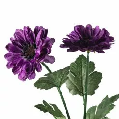 New ✔️ 12 Pack: Purple Zinnia Mum Spray by Ashland® 🎁 9 New ✔️ 12 Pack: Purple Zinnia Mum Spray by Ashland® 🎁 -Ashland Sale Store MP392967 20
