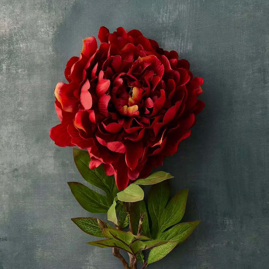 Budget ⭐ 12 Pack: Red Peony Stem by Ashland® ⭐ 4 Budget ⭐ 12 Pack: Red Peony Stem by Ashland® ⭐ - Image 2
