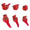 Brand new 😉 8 Packs: 6 ct. (48 total) Red Cardinal Set by Ashland® 🎁 -Ashland Sale Store MP407691 1