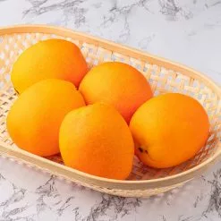 Cheap 👏 8 Packs: 5 ct. (40 total) Oranges by Ashland® ⌛ -Ashland Sale Store MP407703 21