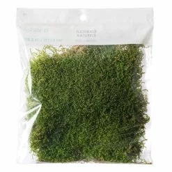 Best reviews of 😀 12 Pack: Forest Green Preserved Moss by Ashland® 😀