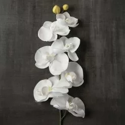 Brand new 🥰 16 Pack: White Moth Orchid Stem by Ashland® ✔️ -Ashland Sale Store MP413038 25