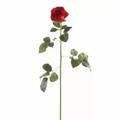 Outlet 🌟 12 Pack: Red Dutch Rose Stem by Ashland® ⭐