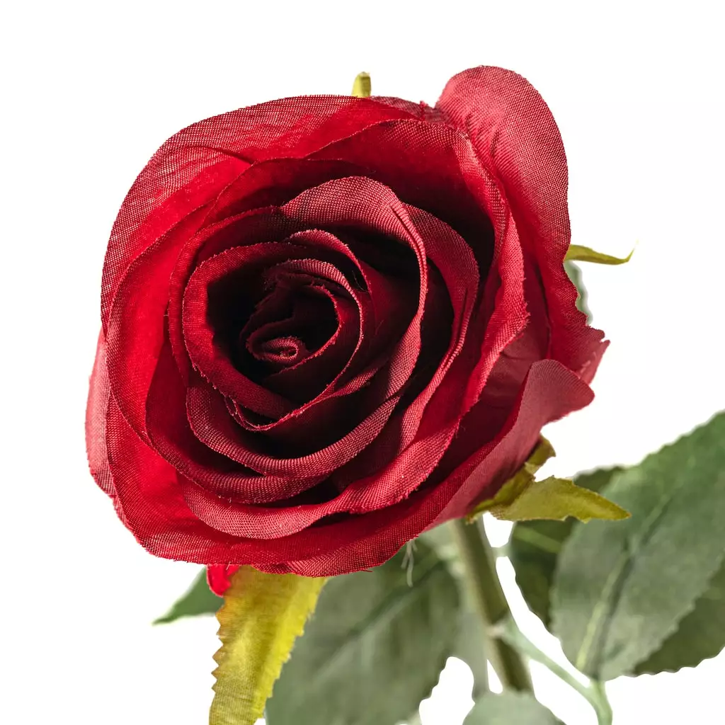 Outlet 🌟 12 Pack: Red Dutch Rose Stem by Ashland® ⭐ 4 Outlet 🌟 12 Pack: Red Dutch Rose Stem by Ashland® ⭐ - Image 2