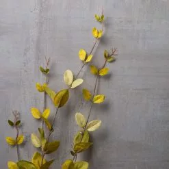 Hot Sale ❤️ 12 Pack: Honeysuckle Leaf Spray by Ashland® ⭐ -Ashland Sale Store MP430396 22