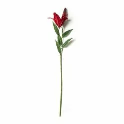 Wholesale 🥰 12 Pack: Red Casablanca Lily Stem by Ashland® 😍 -Ashland Sale Store MP430444 21