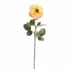 Best reviews of ⌛ 12 Pack: Yellow Orlane Rose Stem by Ashland® 🎉 1 Best reviews of ⌛ 12 Pack: Yellow Orlane Rose Stem by Ashland® 🎉 -Ashland Sale Store MP430476 1