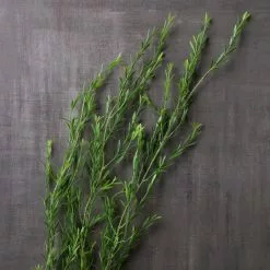 Cheap ✨ 12 Pack: Green Trailing Grass Spray by Ashland® 🛒 -Ashland Sale Store MP449806 22