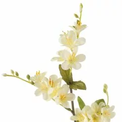 Top 10 🔔 12 Pack: Cream Vinca Spray by Ashland® ✨ -Ashland Sale Store MP449815 20