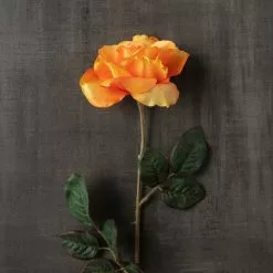 Hot Sale 🧨 12 Pack: Salmon Rose Stem by Ashland® 😀 -Ashland Sale Store MP450088 25