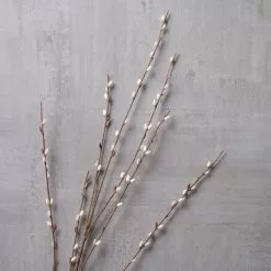 Discount 🥰 18 Pack: Pussy Willow Stem by Ashland® 😍 -Ashland Sale Store MP450208 22