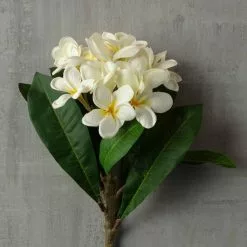 Deals 🤩 12 Pack: White Frangipani Stem by Ashland® 👏 -Ashland Sale Store MP450428 25