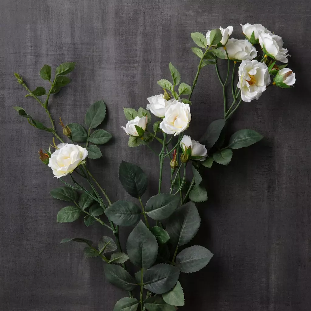 Flash Sale 😉 12 Pack: Cream Kate Rose Spray by Ashland® ✨ 4 Flash Sale 😉 12 Pack: Cream Kate Rose Spray by Ashland® ✨ - Image 2