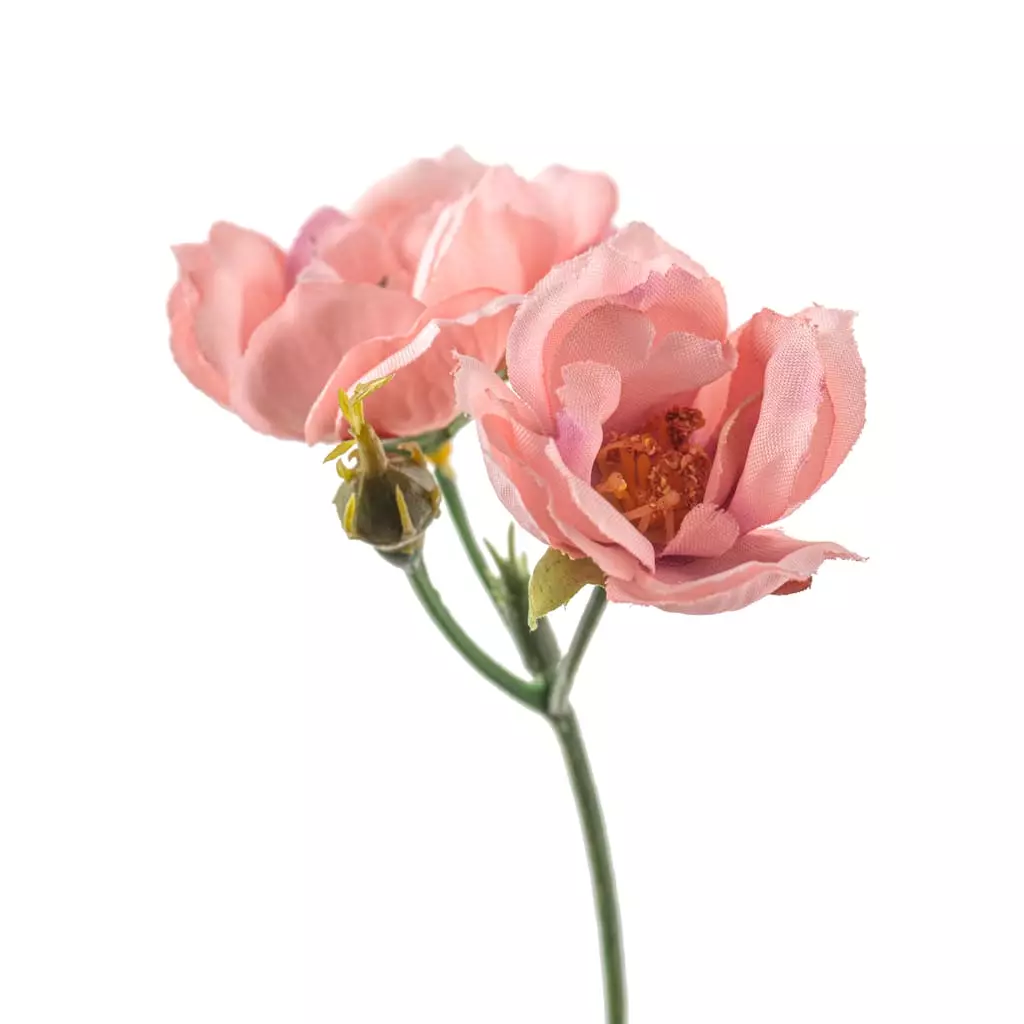 Budget ✔️ 12 Pack: Pink Kate Rose Spray by Ashland® ⌛ 5 Budget ✔️ 12 Pack: Pink Kate Rose Spray by Ashland® ⌛ - Image 3