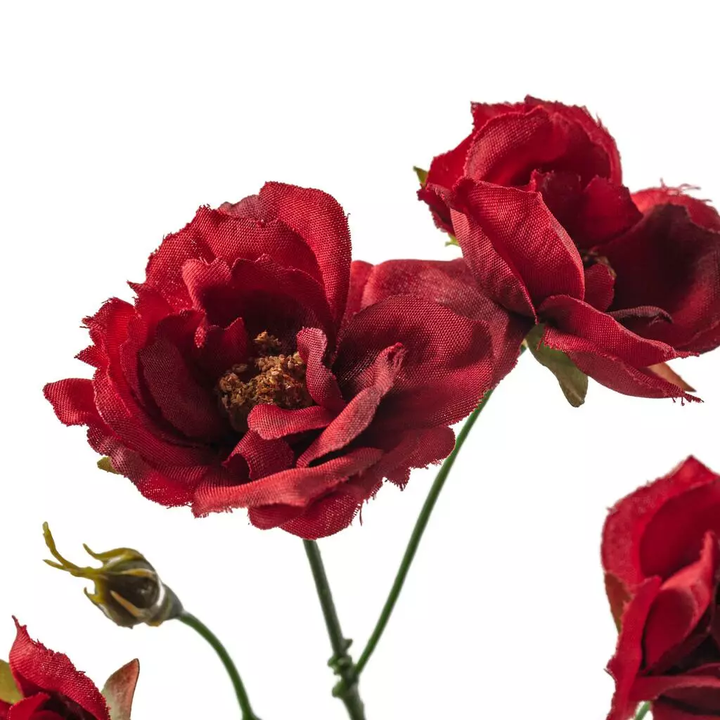 Cheapest 🔔 12 Pack: Dark Red Kate Rose Spray by Ashland® 🎁 4 Cheapest 🔔 12 Pack: Dark Red Kate Rose Spray by Ashland® 🎁 - Image 2